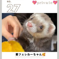 画像1248
