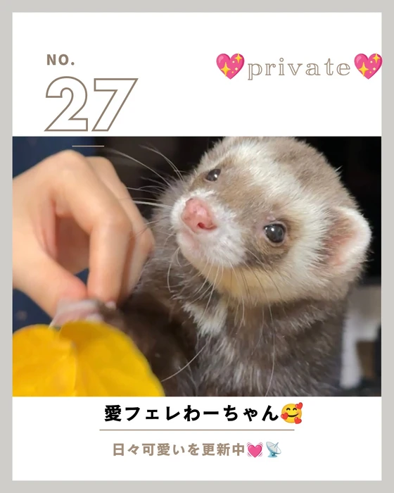 画像1248