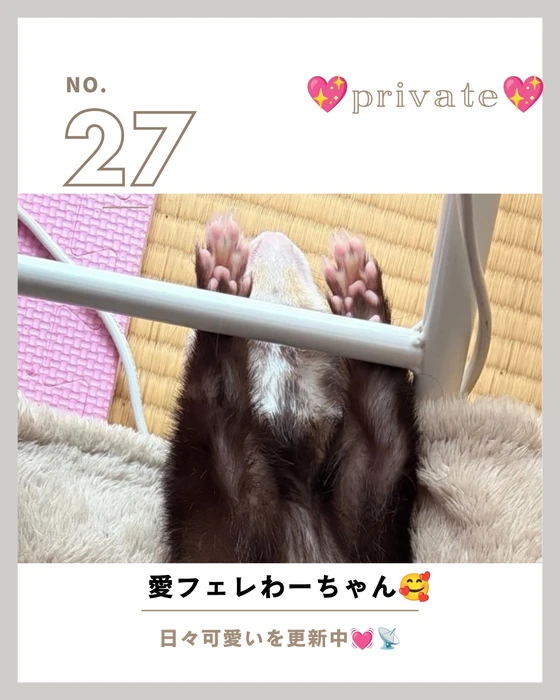 画像1249