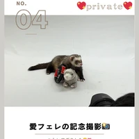 画像735