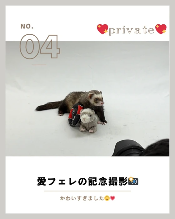 画像735