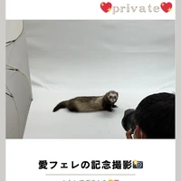 画像736