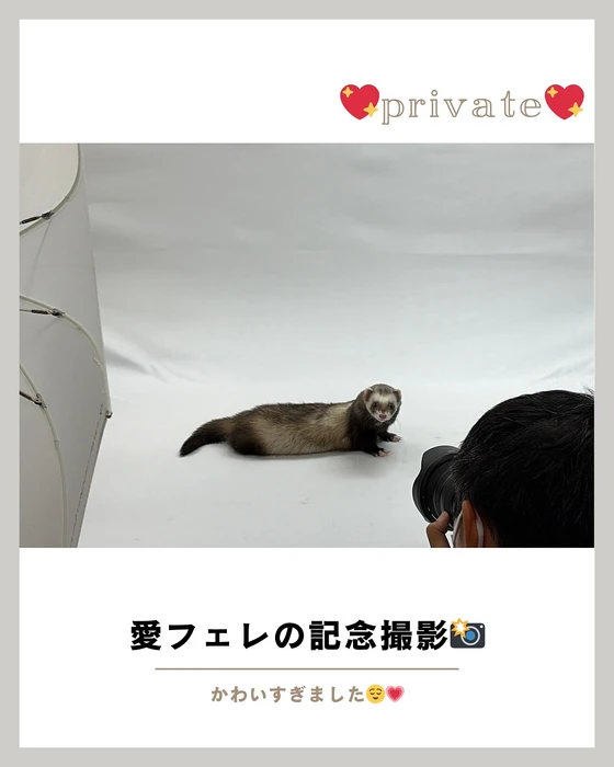 画像736