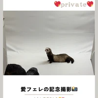 画像737