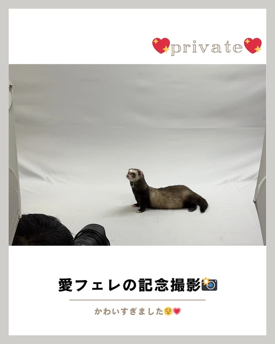 画像737