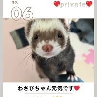画像774