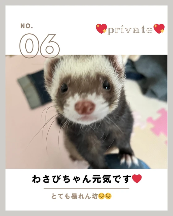 画像774