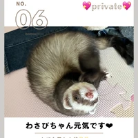 画像775