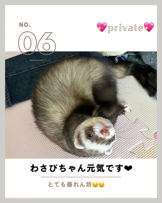 画像775