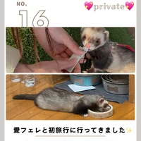 画像989