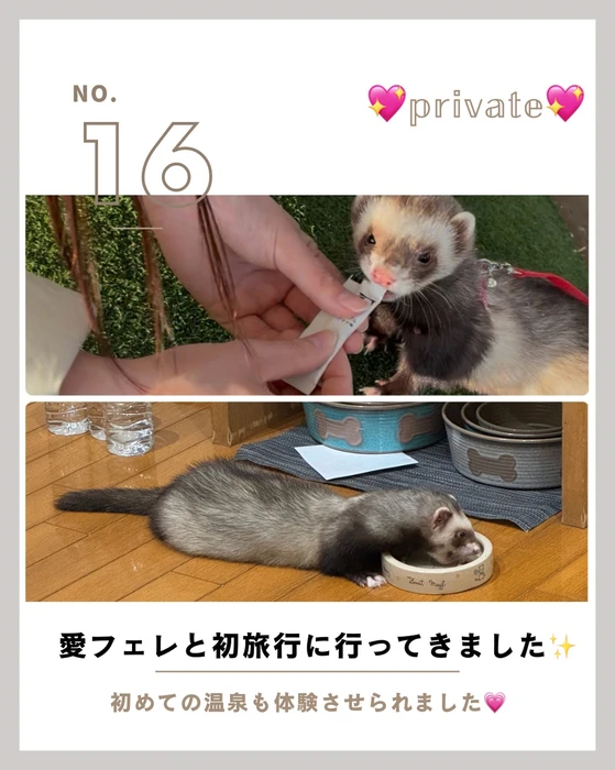 画像989