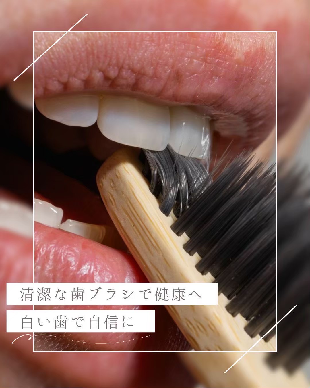 今すぐお問い合わせを！