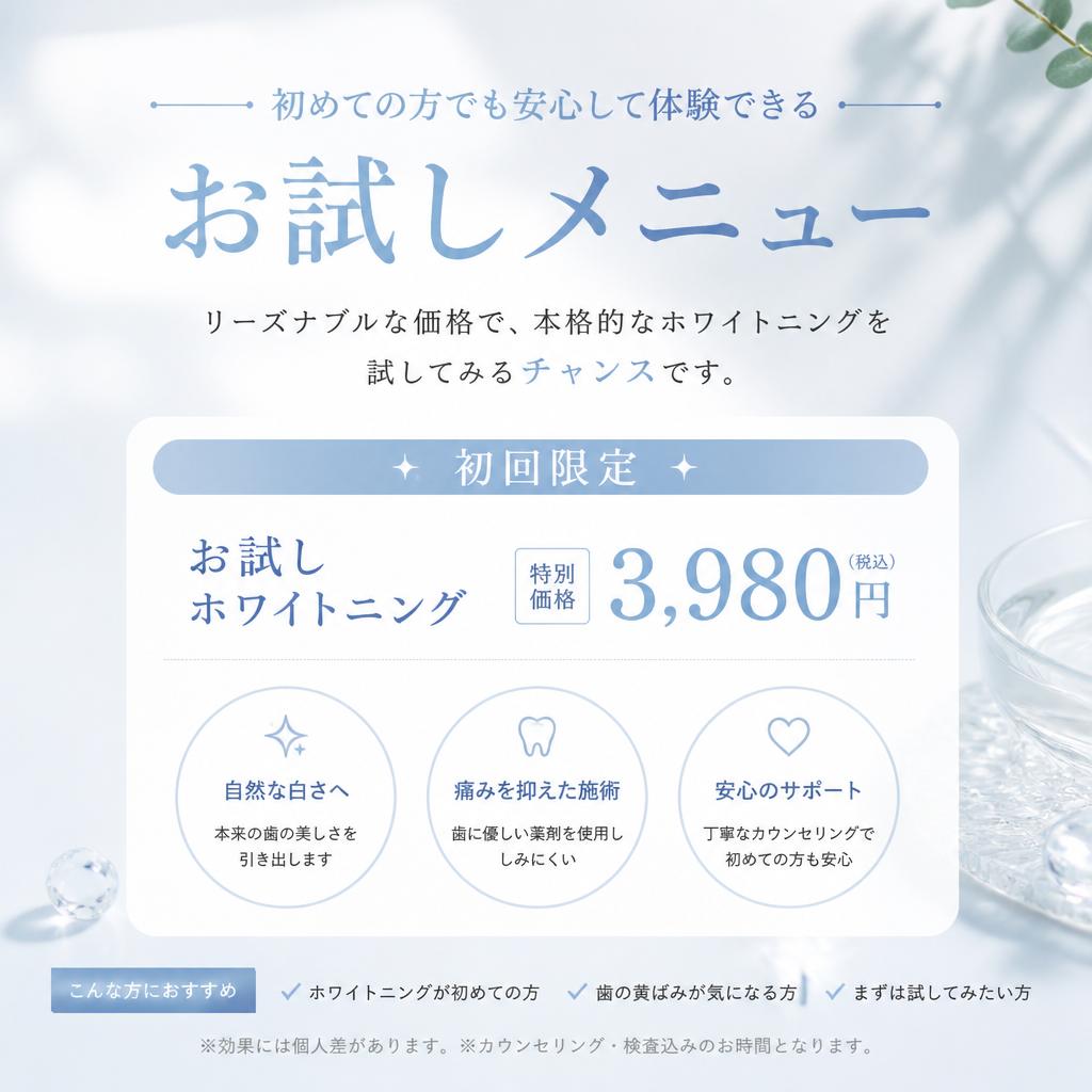 お試しメニューの魅力