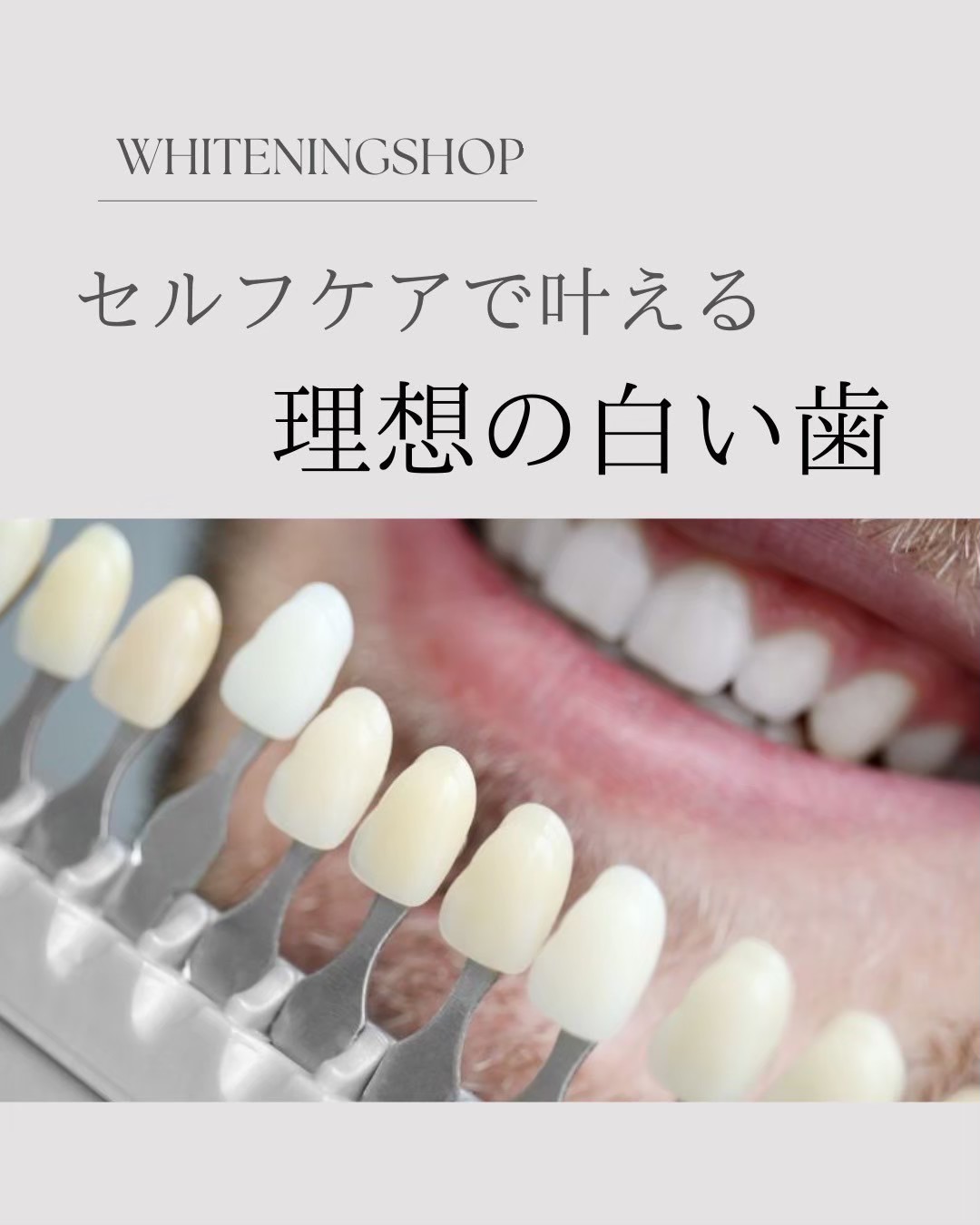 お問い合わせ・ご予約はお気軽に