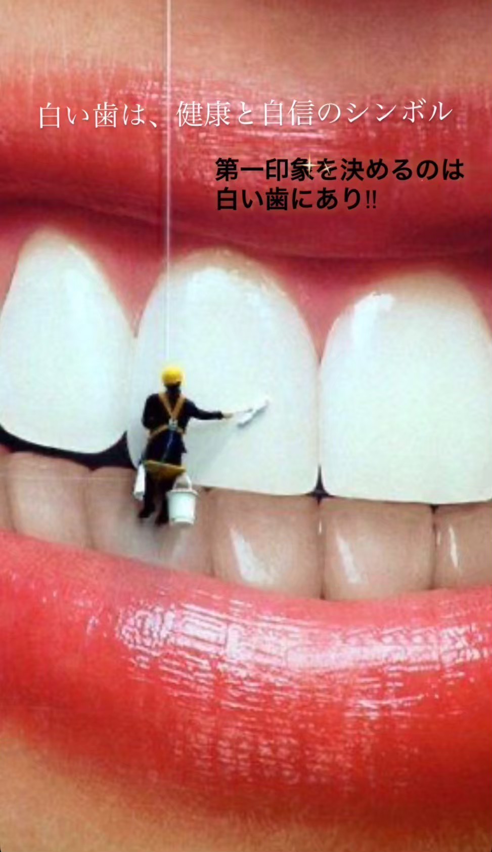 お問い合わせ・ご予約