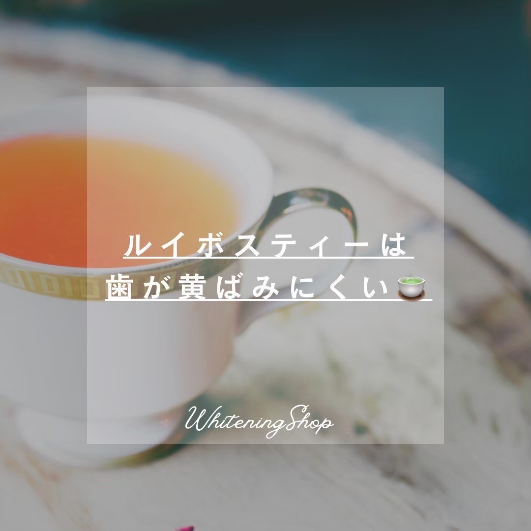 今すぐお問い合わせを