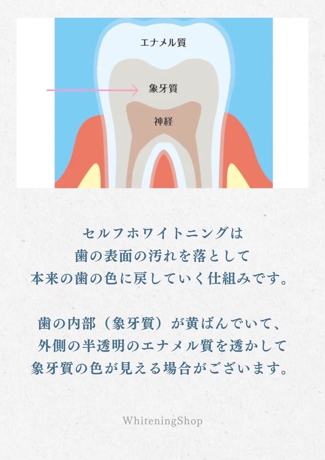 今すぐお問い合わせを！